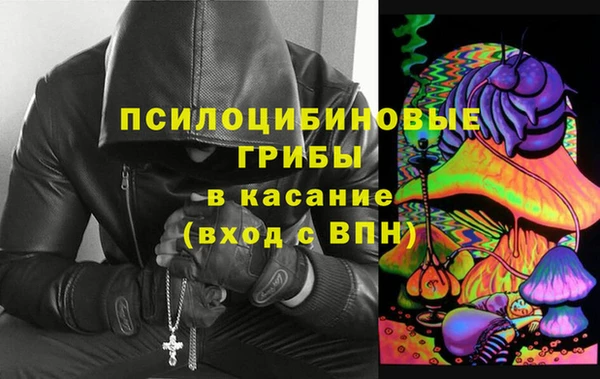 эйфоретик Баксан