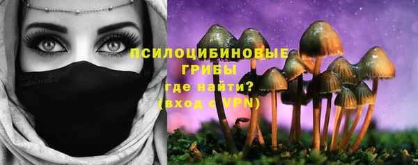 скорость Арсеньев