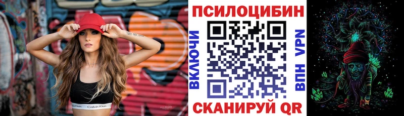 Галлюциногенные грибы мицелий наркота Бородино